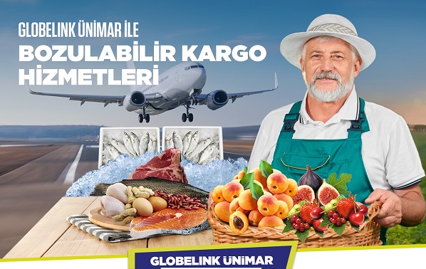 globalink unimar