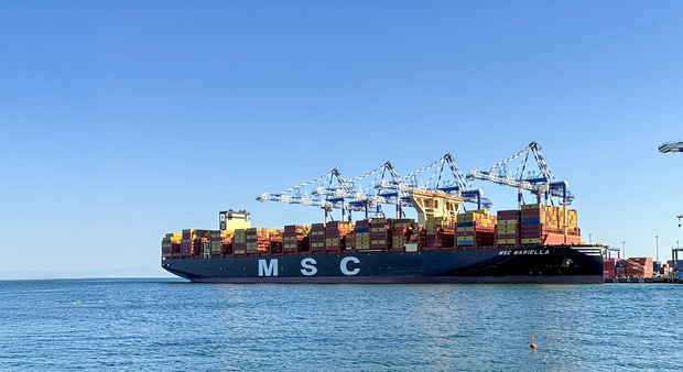 MSC