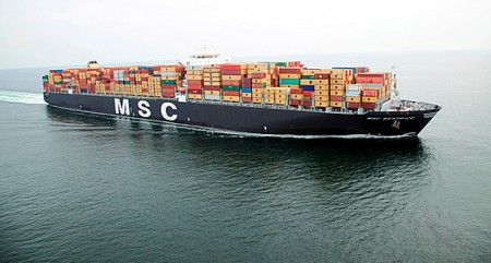 msc_gemi.jpg