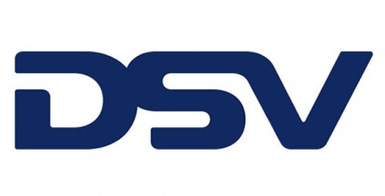 dsvlogo