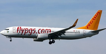 pegasus