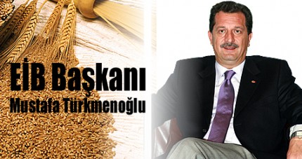 mustafa_tuerkmenoglu1.jpg